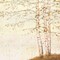 Golden Birch II Off White Poster Print by James Wiens - Item # VARPDX28715